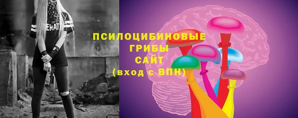 Альфа ПВП Арсеньев