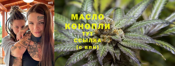 трава Аркадак