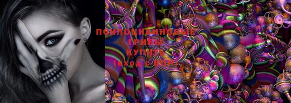 Альфа ПВП Арсеньев
